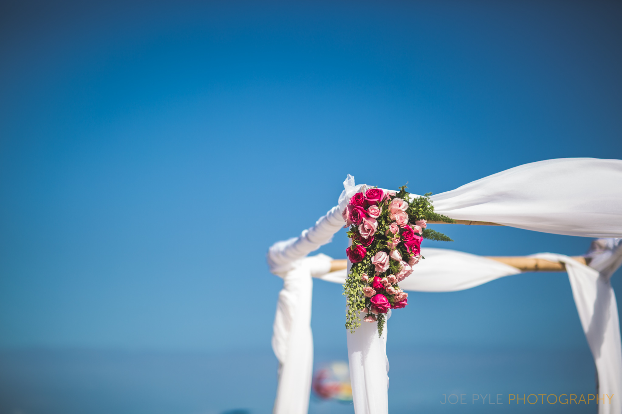 Estes Park Wedding Photographer