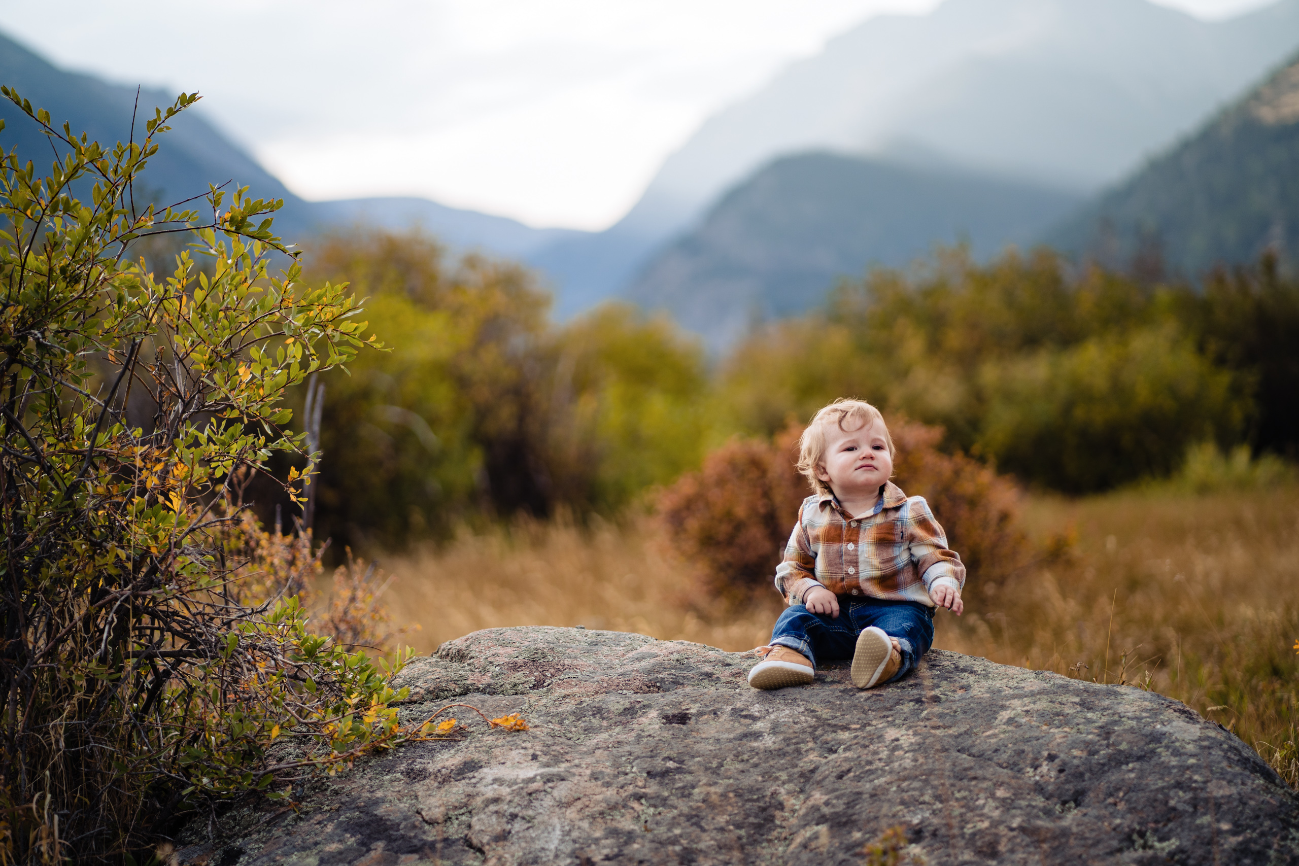 estes park family reunion photographer